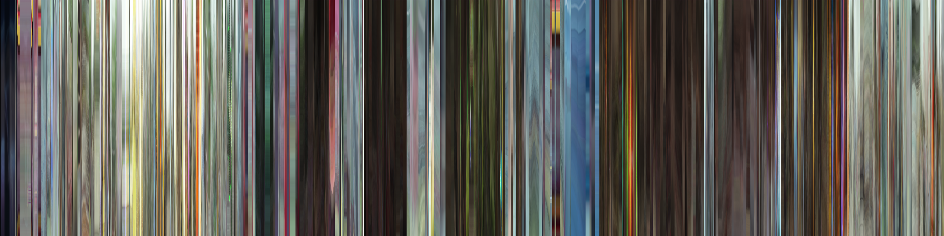 白衣的license barcode