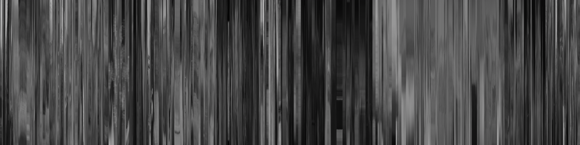 长大吧！乌龟 barcode