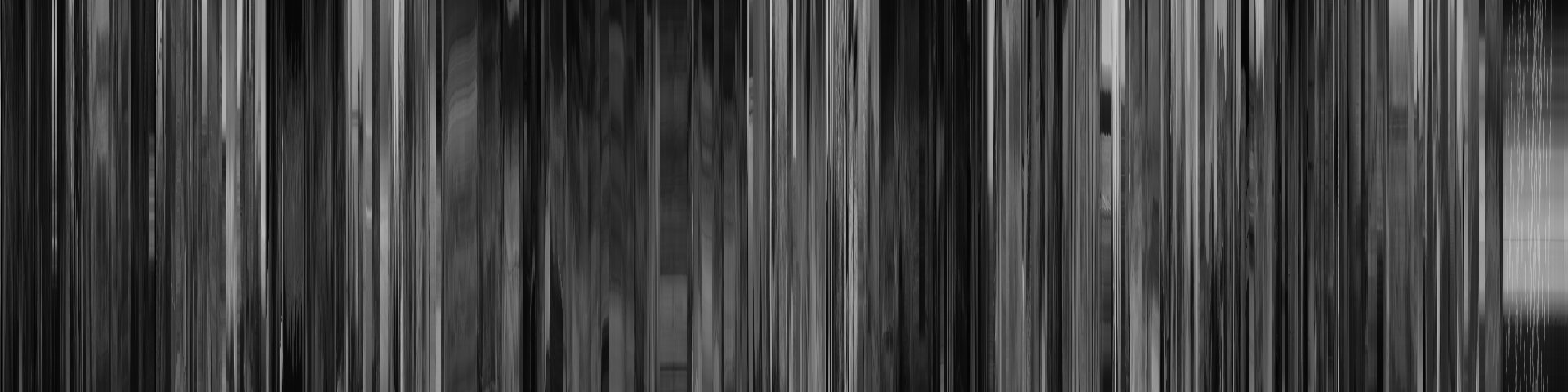 看见鸟了 barcode