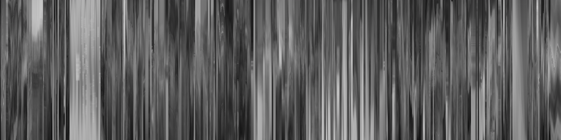 206航班消失 barcode